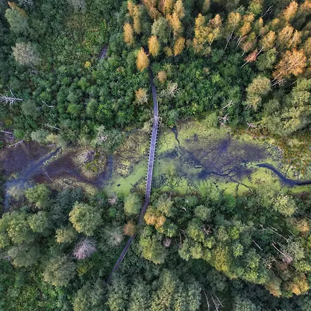 Szumi Rosa * Majdan (Minsk)