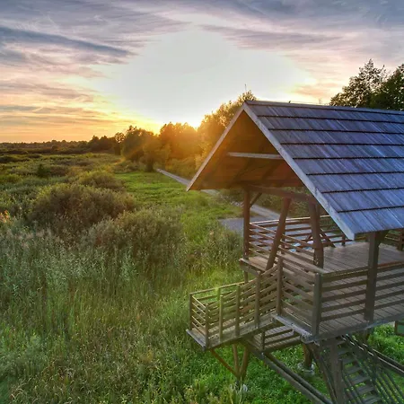 Szumi Rosa فيلة Majdan (Minsk)
