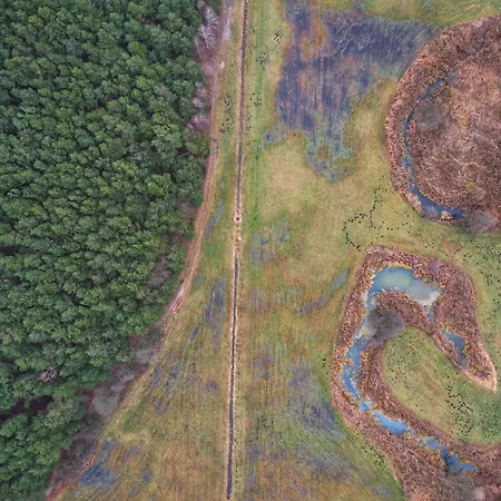 فيلة Szumi Rosa *