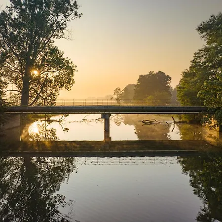 فيلة Szumi Rosa *