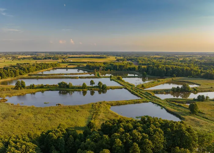 Szumi Rosa Willa Majdan (Minsk)